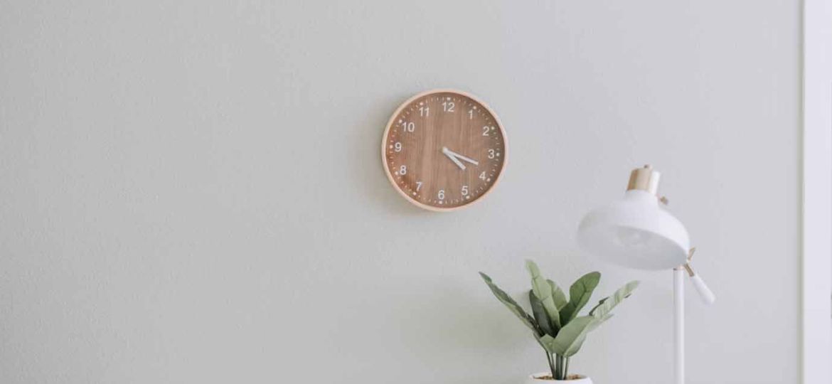 importance of indoor plant in interior design
